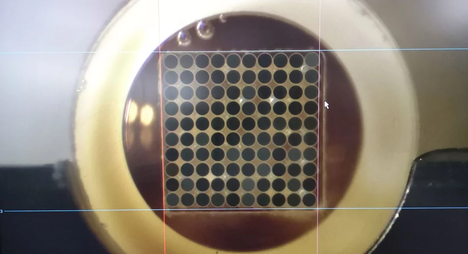 Tapered Fiber Bundle: Efficient Optical Devices for Applications in Many Fields
