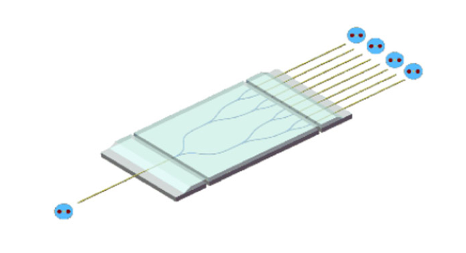 PLC Optical Splitter Overview: Features, Applications, and Advantages