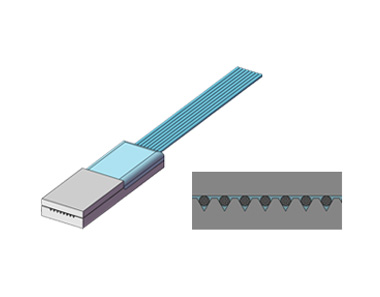 Multicore Fiber Application