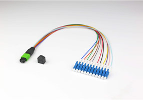 PM MPO Jumper