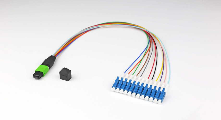 PM MPO Jumper